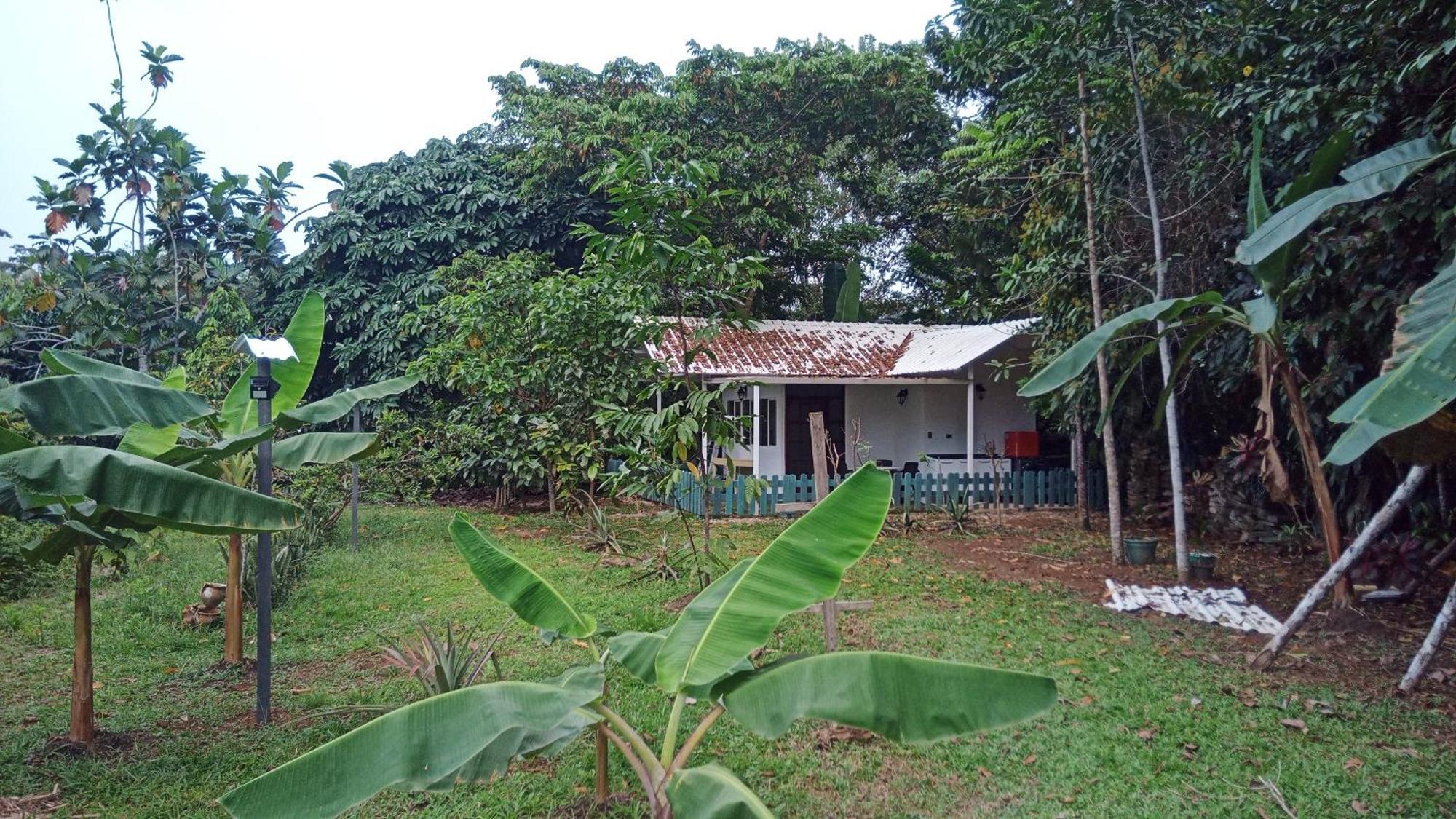 Hostal Suna Vito Puerto Asís Exteriör bild