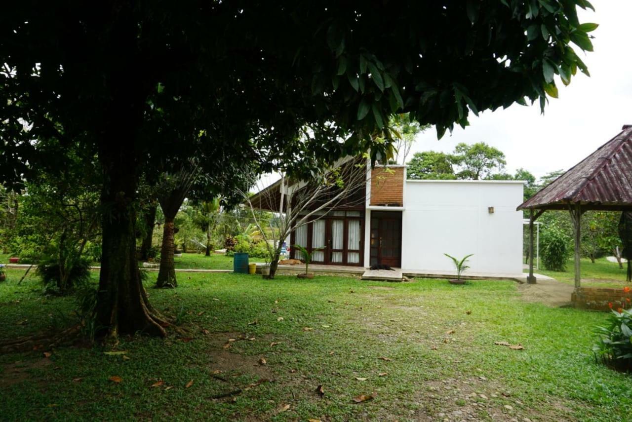 Hostal Suna Vito Puerto Asís Exteriör bild